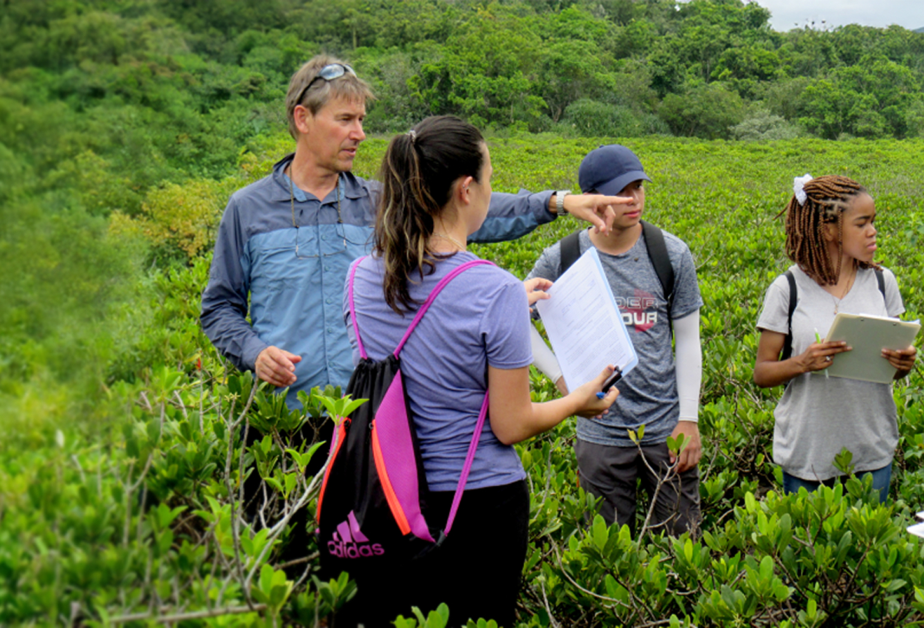 A group of four people stand in dense green vegetation, discussing and taking notes. One man points ahead while two women and another man hold papers and clipboards, possibly conducting field research or a nature study.