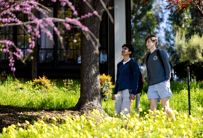 Two young men walk together on a sunny day through a grassy area with yellow wildflowers, trees, and blooming pink flowers, with a building and greenery in the background.