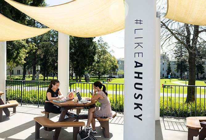 Two students sit at an outdoor table under shade sails, studying with laptops and books. A column nearby displays the hashtag “#LIKEAHUSKY.” Green lawns and campus buildings are visible in the background.