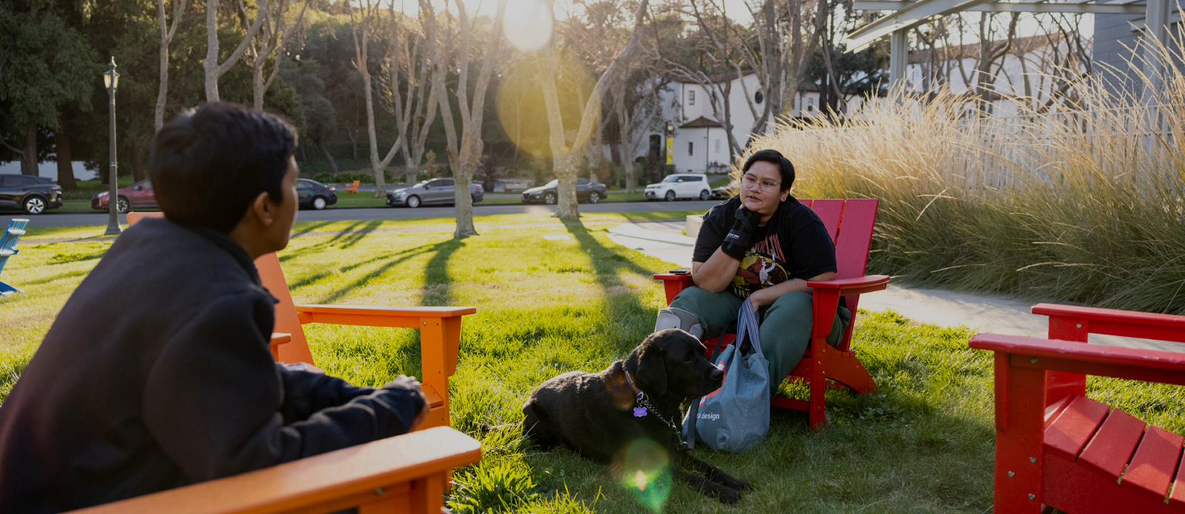 Person sits in red Adirondack chair on a grassy lawn with a black dog lying nearby. Trees, parked cars, and buildings are in the background on a sunny day.