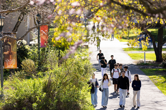 Students walk along tree lined path on Northeastern's Oakland campus