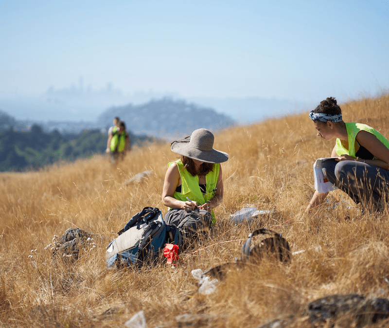Students conduct research in grassy field in the Oakland hills.
